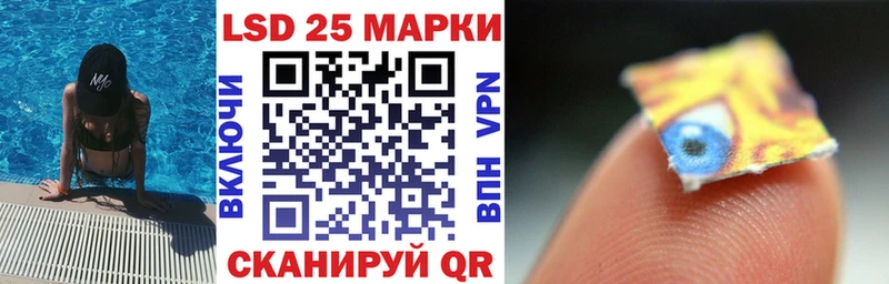 дарнет шоп  hydra как войти  Марки N-bome 1,8мг  Красноармейск 