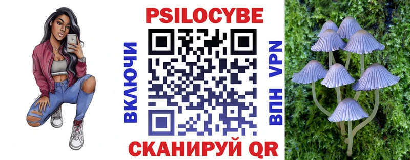 Галлюциногенные грибы Magic Shrooms  darknet официальный сайт  Красноармейск 