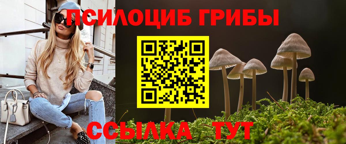 Псилоцибиновые грибы Psilocybine cubensis  Псилоцибиновые грибы прущие грибы  Вход с VPN  Красноармейск 